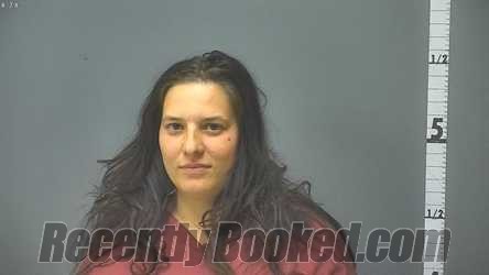 Recent Mugshot Image for ALISON SHIANNE STATON in Staunton County, Virginia