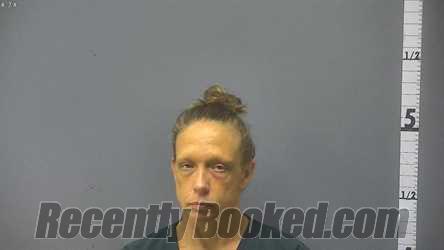 Recent Mugshot Image for MEGAN NICHOLE THOMAS in Staunton County, Virginia