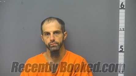 Recent Mugshot Image for BRYAN DOUGLAS MEEKS in Waynesboro County, Virginia