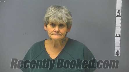 Recent Mugshot Image for APRIL BRADLEY RIDDLE in Waynesboro County, Virginia