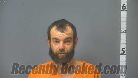 Recent Mugshot Image for DEWAYNE DOUGLAS NELSON in Waynesboro County, Virginia