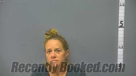Recent Mugshot Image for WENDY SUE HARRIS in Waynesboro County, Virginia