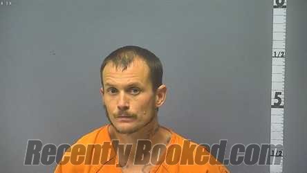 Recent Mugshot Image for SHAWN LEWIS INGRAM in Waynesboro County, Virginia