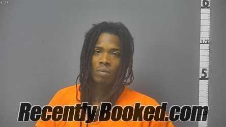 Recent Mugshot Image for SAVION TRAMAR FIELDS in Waynesboro County, Virginia