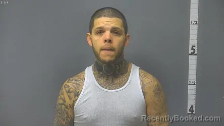 Recent Mugshot Image for ROY RUSSELL JACKSON in Waynesboro County, Virginia