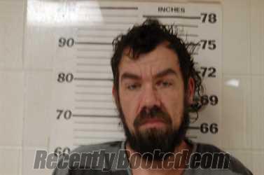 Recent Booking / Mugshot for TRAVIS WARREN LUBERG in Henderson County