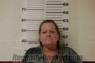 Recent Mugshot Image for TRACY LYNN HILSABECK in Henderson County, Texas