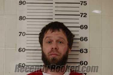 Recent Mugshot Image for DAVID PAUL DICKSON in Henderson County, Texas