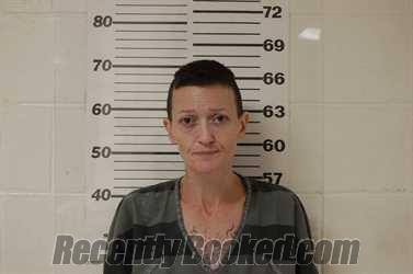 Recent Mugshot Image for NICHOLE VOSSLER in Henderson County, Texas