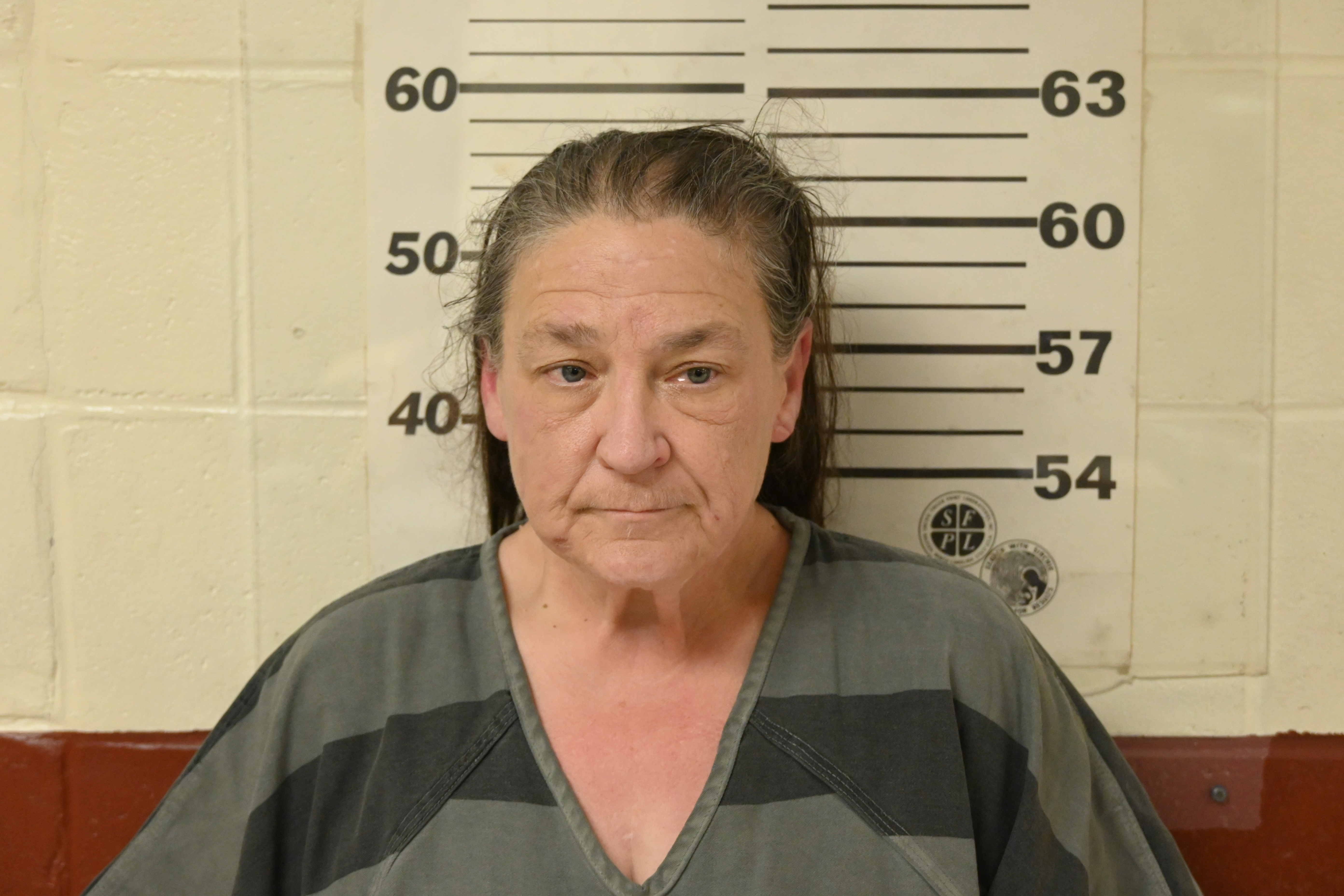 Recent Mugshot Image for SANDRA DENISE SANFORD in Henderson County, Texas