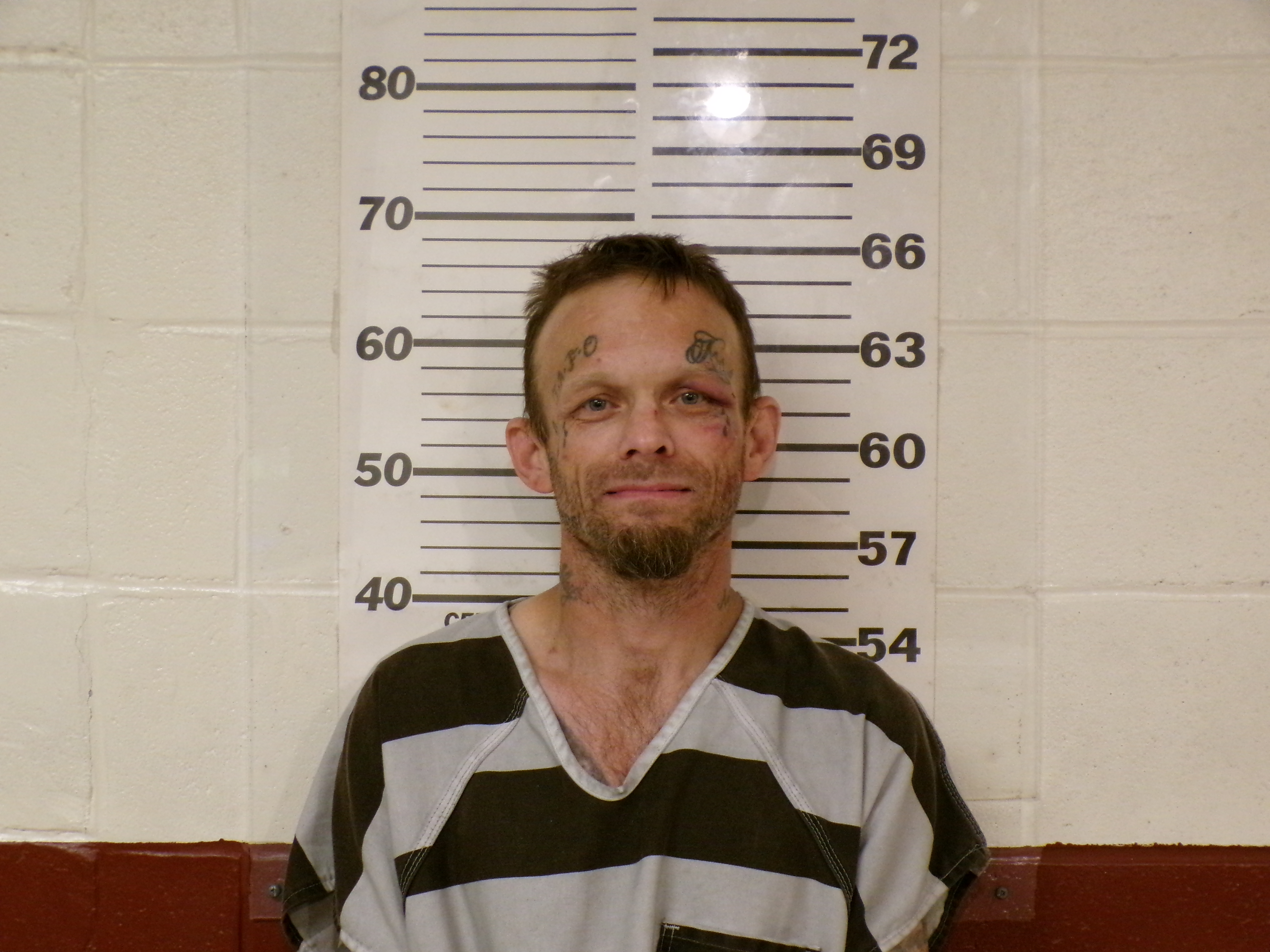 Recent Mugshot Image for ERNEST BOB SHUEMAKE in Henderson County, Texas