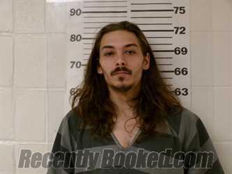 Recent Mugshot Image for DYLAN AUSTIN DEATON in Henderson County, Texas