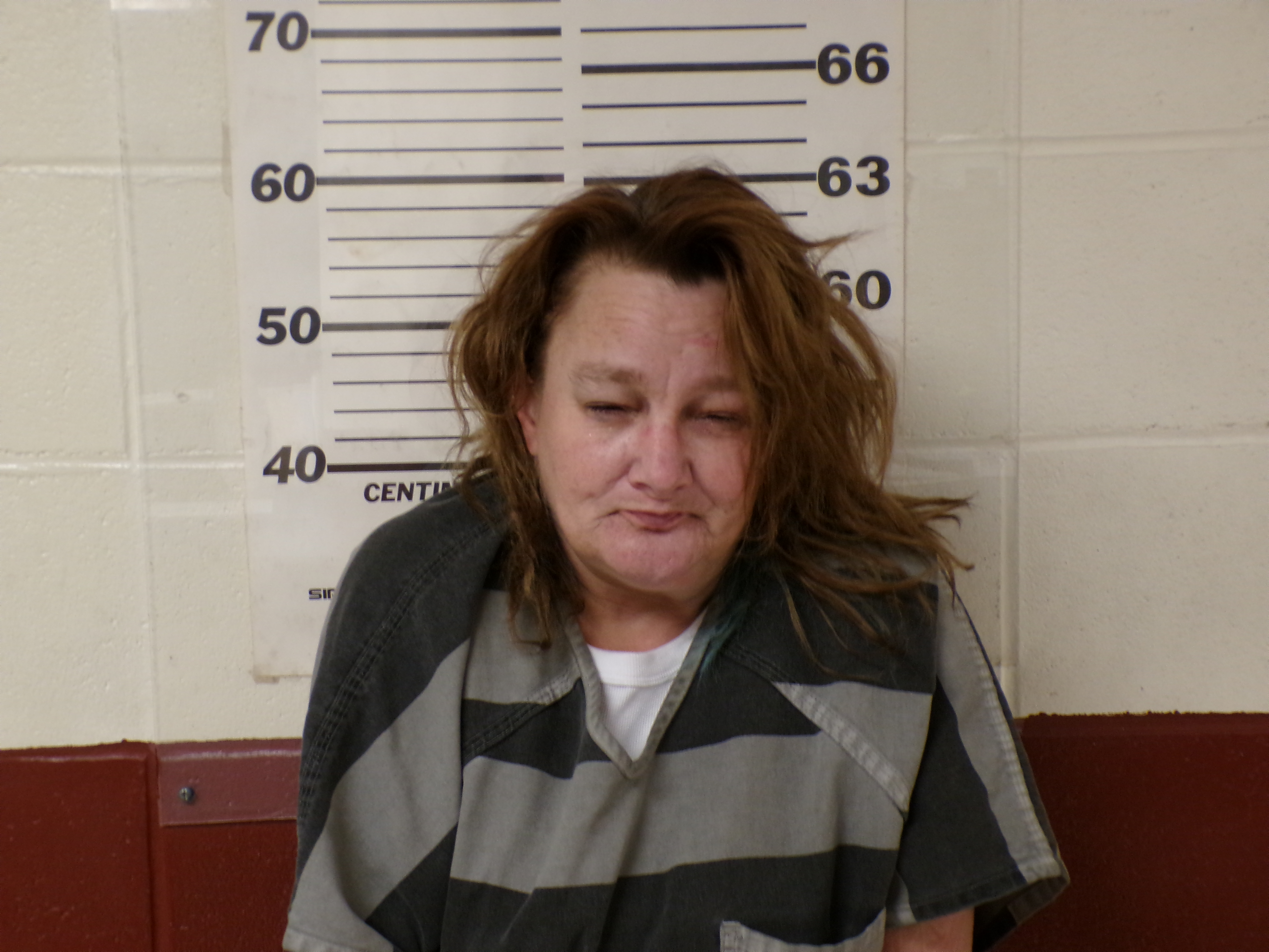 Recent Mugshot Image for SUMMER RANEE SUTTON in Henderson County, Texas