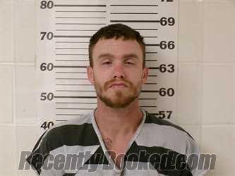 Recent Mugshot Image for BRANDON LEE DAVIS in Henderson County, Texas