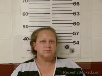 Recent Mugshot Image for KARIN ELIZABETH BEAMON in Henderson County, Texas