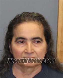 Recent Booking / Mugshot for ANA PINEDA in Winchester County, Virginia