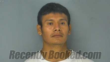 Recent Mugshot Image for HENRY ALBERTO DIAZ CASTILLO in Williamsburg County, Virginia