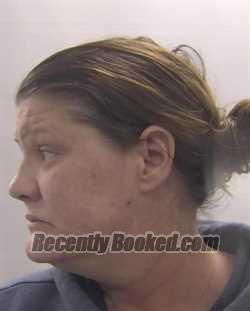 Recent Mugshot Image for MELANIE ANN ZANDO in Chesapeake County, Virginia