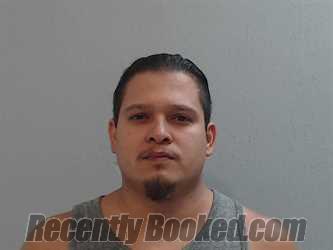 Recent Booking / Mugshot for RICARDO JR ALANIZ in Hidalgo County, Texas