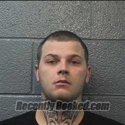 Recent Mugshot Image for Mikael Alexander Marshall in Danville County, Virginia