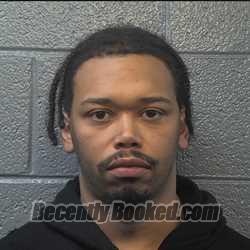 Recent Mugshot Image for BRIAN LAMONT TERRY in Danville County, Virginia