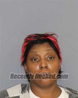 Recent Mugshot Image for KENDRA NICOLE HOLLIMAN in Hopkins County, Texas