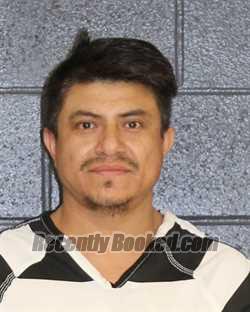 Recent Mugshot Image for LUIS ALBERTO MORALES-SEGOVIA in Hopkins County, Texas