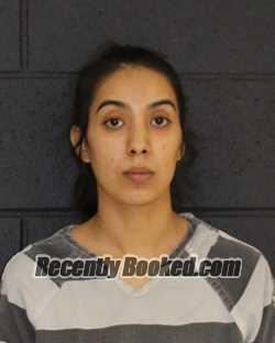 Recent Mugshot Image for NOEMY PEREZ in Hopkins County, Texas