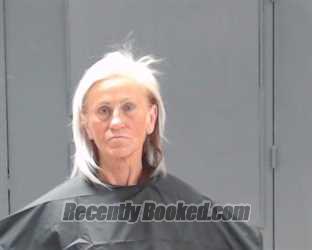 Recent Mugshot Image for PATRICIA ANN CROSS in Hunt County, Texas