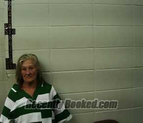Recent Mugshot Image for VIRGINA NELL MEADOWS in Jasper County, Texas