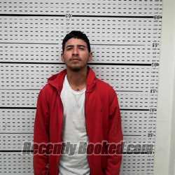 Recent Booking / Mugshot for RICARDO HINOJOSA in Jim Wells County, Texas