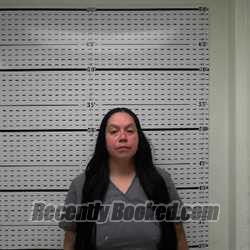 Recent Booking / Mugshot for PRISCILLA CARRILLO in Jim Wells County, Texas