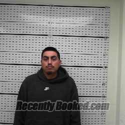Recent Booking / Mugshot for ALEJANDRO ALANIZ in Jim Wells County, Texas