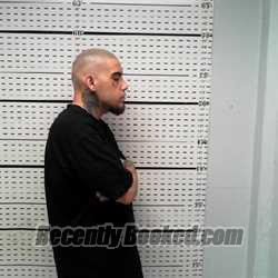 Recent Mugshot Image for LUIS VELA in Jim Wells County, Texas