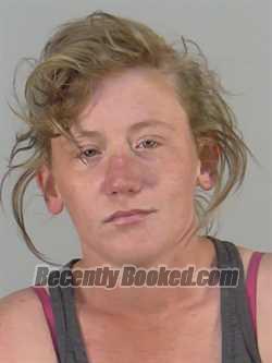 Recent Mugshot Image for SARAH ELIZABETH MAYO in Lake County, Florida