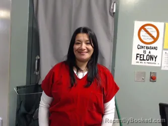 Recent Mugshot Image for LESLIE ANN ALVARADO in Karnes County, Texas