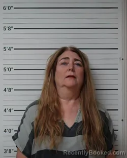 Recent Mugshot Image for Michelle J Sargl-Taylor in Kerr County, Texas