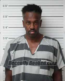 Recent Mugshot Image for Jermaine Randall Potter in Kerr County, Texas