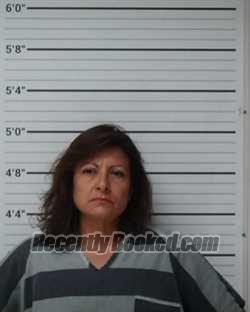 Recent Mugshot Image for Amy Monique Vance in Kerr County, Texas