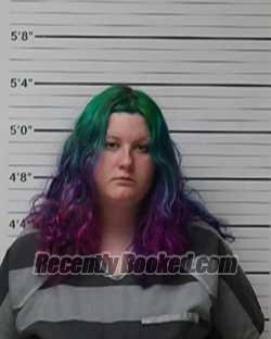 Recent Mugshot Image for Fallon Marie Vincent in Kerr County, Texas
