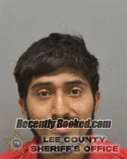 Recent Mugshot Image for JULIO EVER HERMINIO TUM TZOY in Lee County, Florida