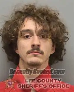 Recent Mugshot Image for PHOENIX H BERTOLOTTI in Lee County, Florida