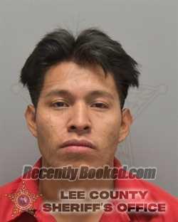 Recent Mugshot Image for MANUEL US TOJIN in Lee County, Florida