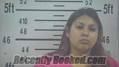 Recent Mugshot Image for JAZMINE SANCHEZ in Kleberg County, Texas