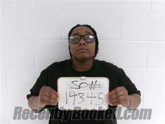 Recent Mugshot Image for STEPHANIE CARRIE LUKE in Lavaca County, Texas