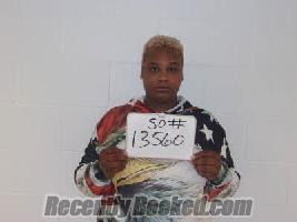 Recent Mugshot Image for JACQUELINE MICHELLE MCAFEE in Lavaca County, Texas