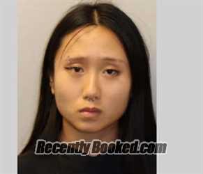 Recent Mugshot Image for VY HOANG in Leon County, Florida