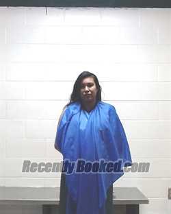 Recent Mugshot Image for DEBORAH ANN RIVADENEIRA in Liberty County, Texas