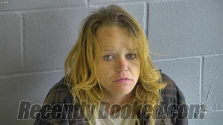 Recent Mugshot Image for AMY MICHELLE BUCHANAN in Levy County, Florida