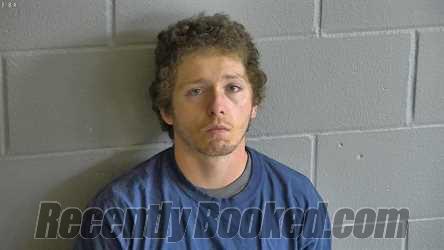 Recent Mugshot Image for DUSTY RAY DEWEES in Levy County, Florida